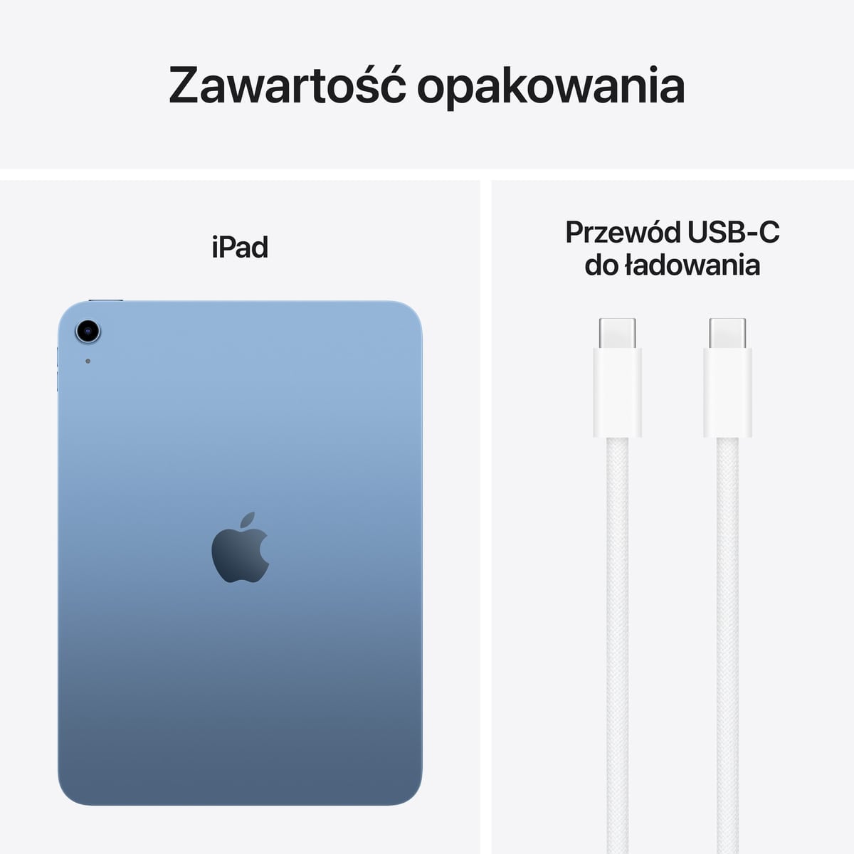 Apple iPad 11-generacji 11