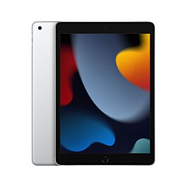 89% iPad 9 第9世代　256 GB Wi-Fi シルバー　本体 apple-ipad-9-generacji-10-2-