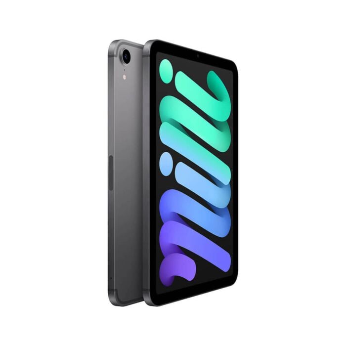 登場! Apple (Space szarość Gwiezdna Wi-Fi 64GB 8,3 6 mini iPad iPad本体