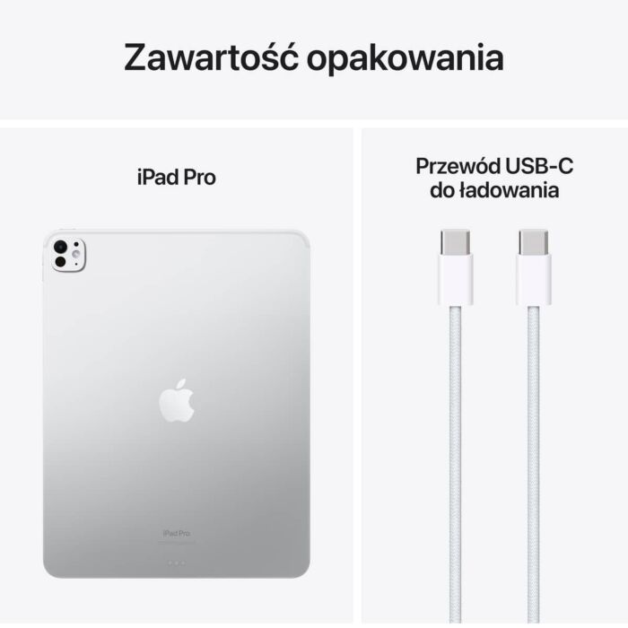 競売 Apple iPad Pro 13 iPad本体