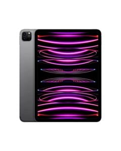 Apple iPad Pro 11 M2 1TB Wi-Fi + Cellular (5G) Gwiezdna Szarość (Space Grey)