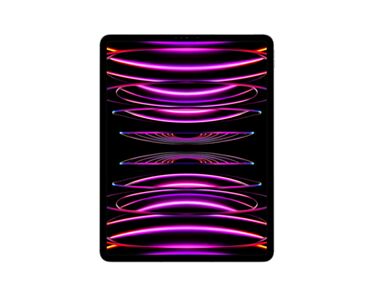 Apple iPad Pro 12,9 M2 256GB Wi-Fi + Cellular (5G) Gwiezdna Szarość (Space Grey)
