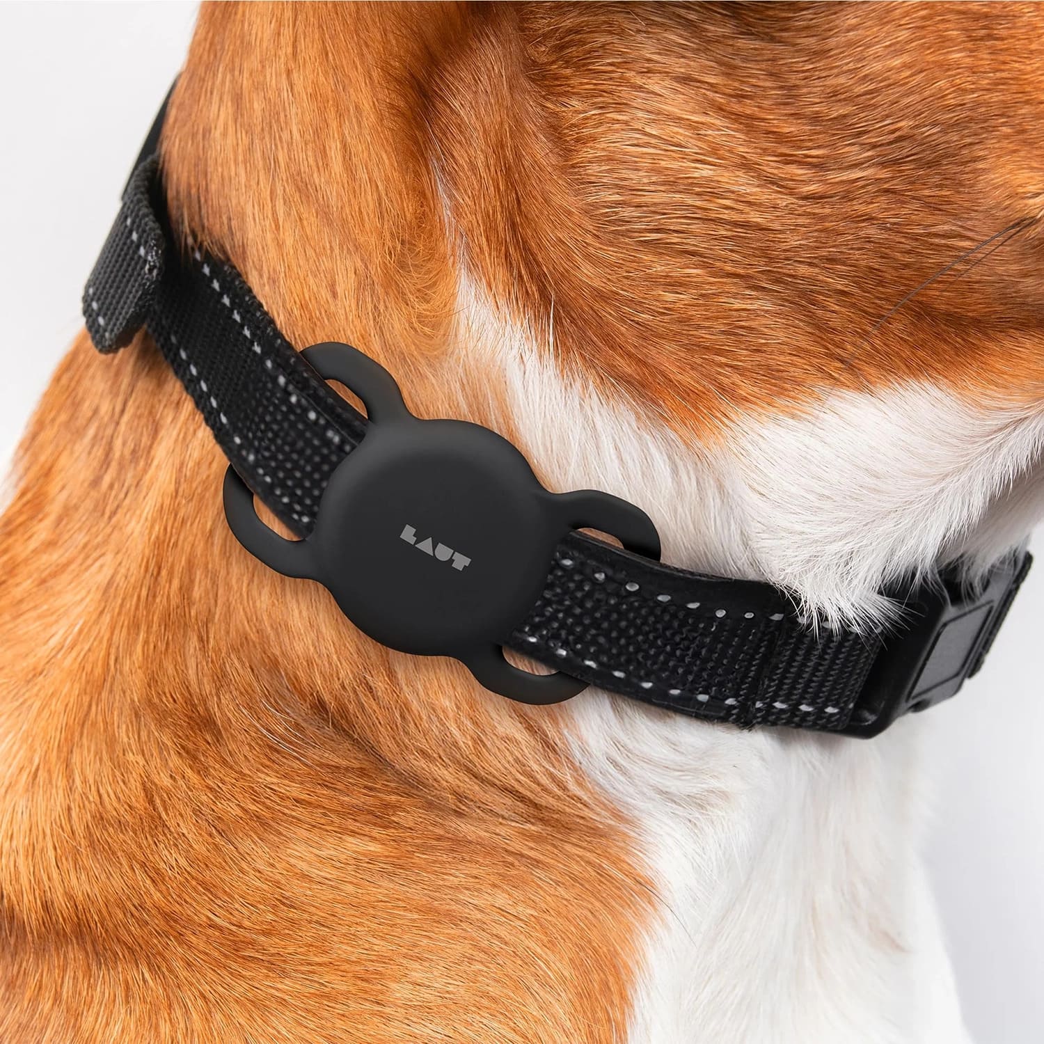 Laut Pet Tag Etui ochronne do AirTag - Czarne