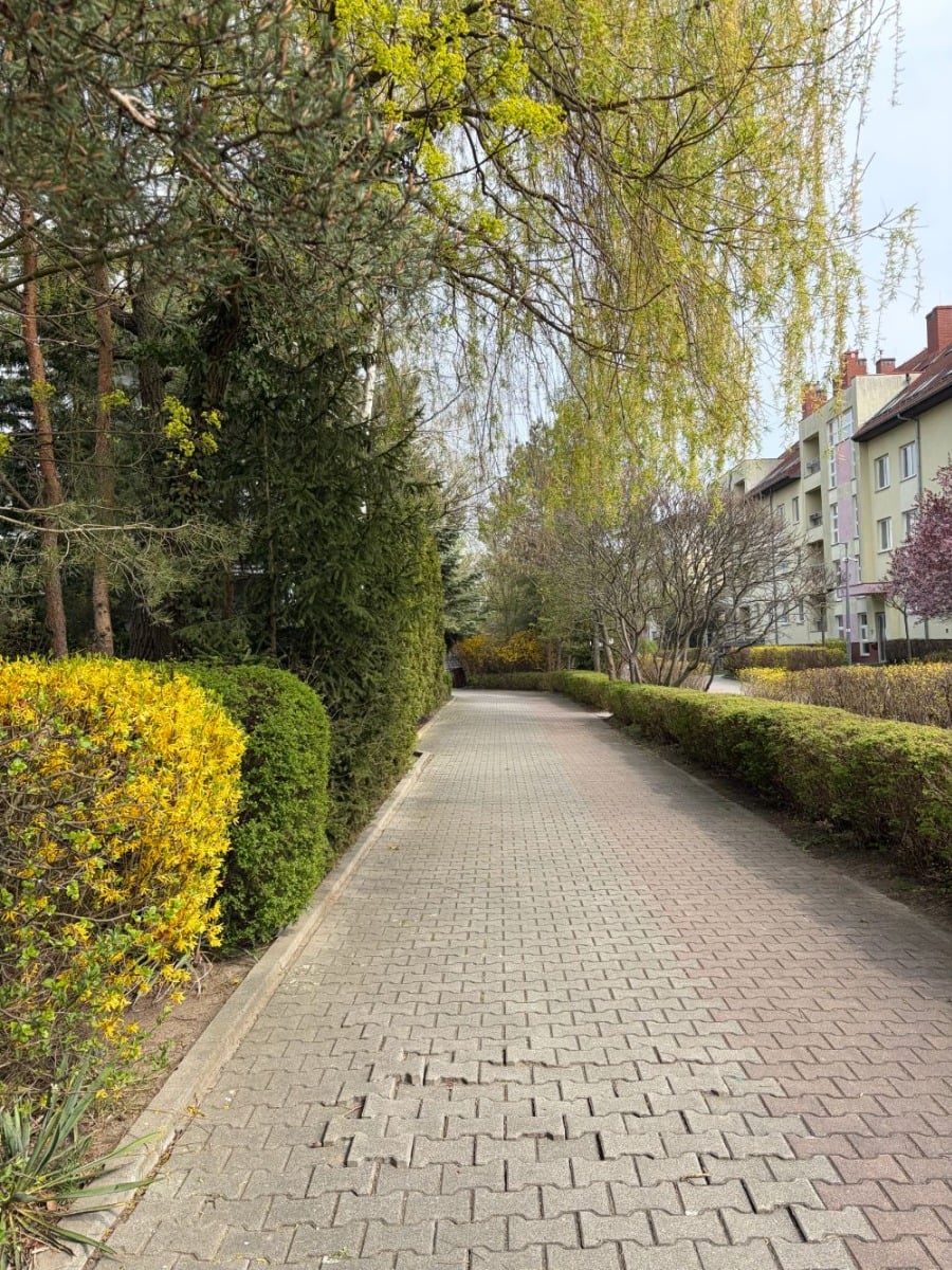 Zdjęcie zrobione iPhone 17