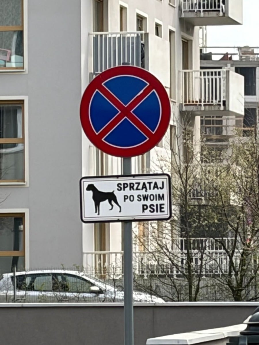 Zdjęcie zrobione iPhone 17