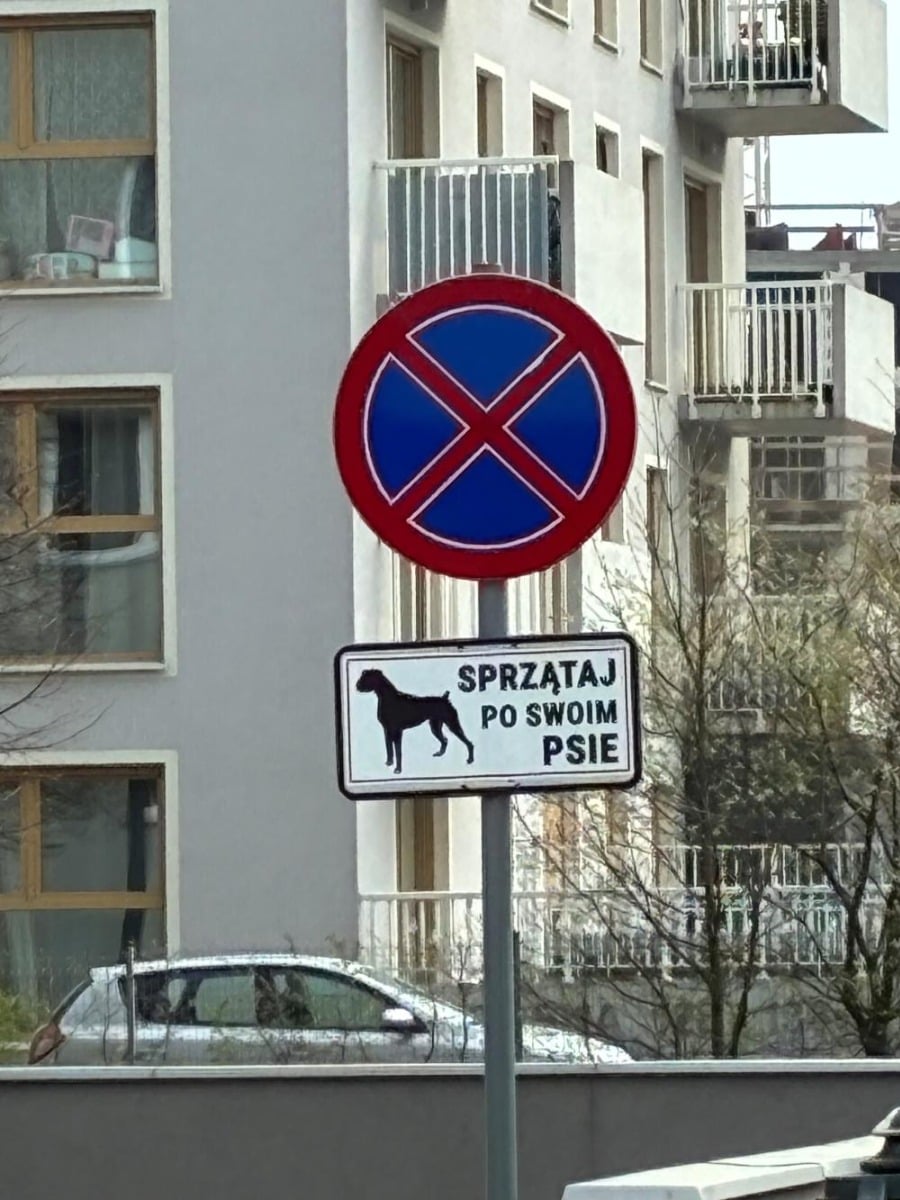 Zdjęcie zrobione iPhone 17e