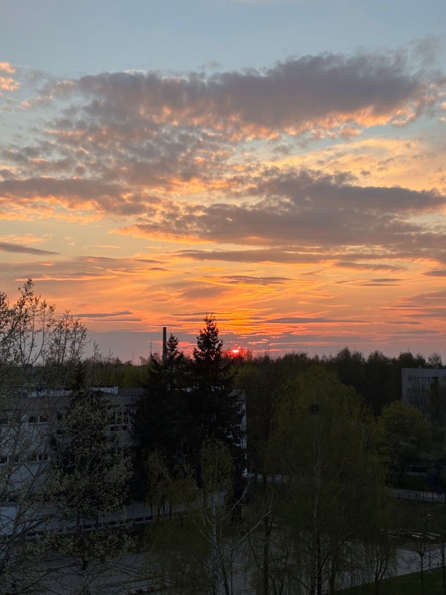 Zdjęcie zrobione iPhone 17e