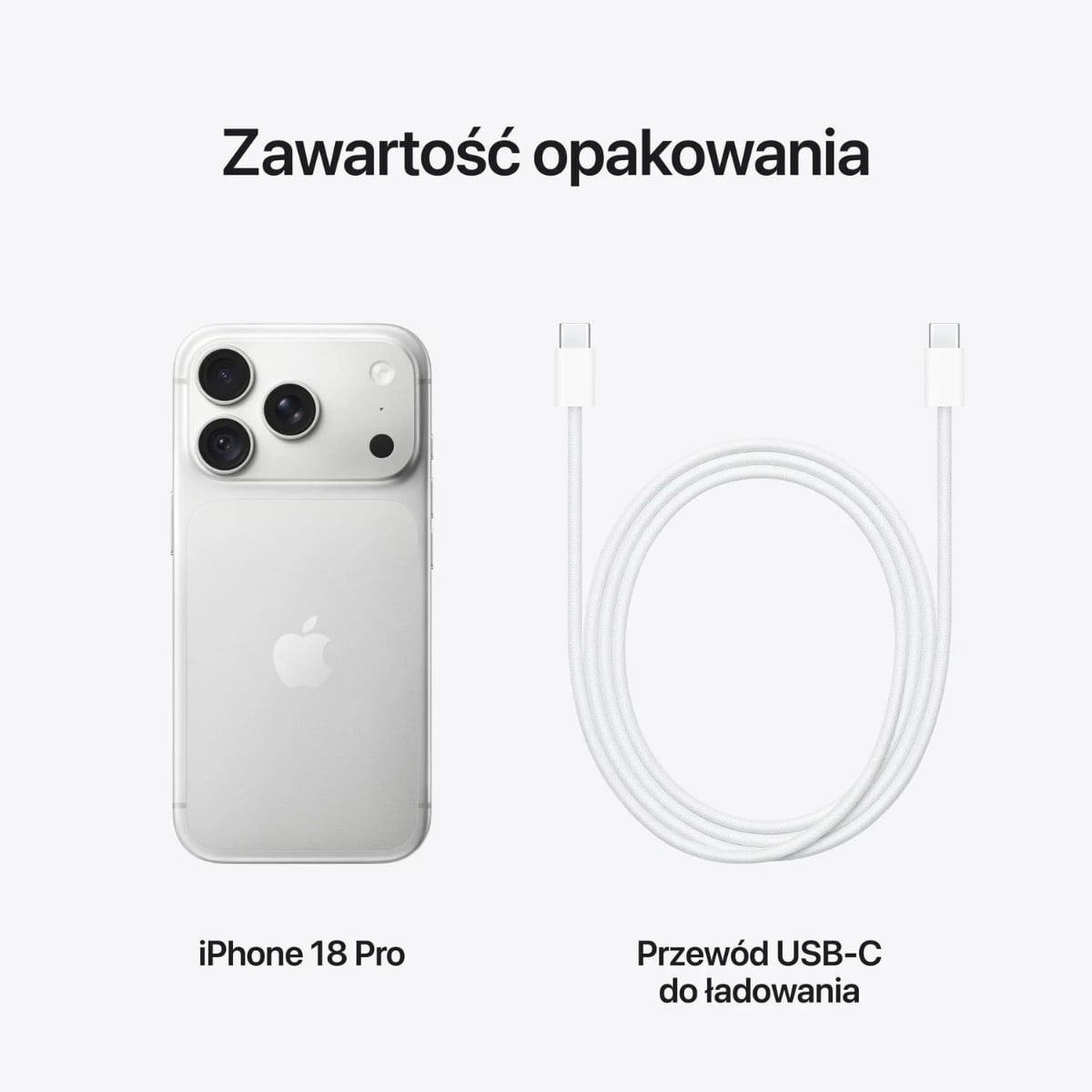 iPhone 18 Pro srebrny - zawartość opakowania