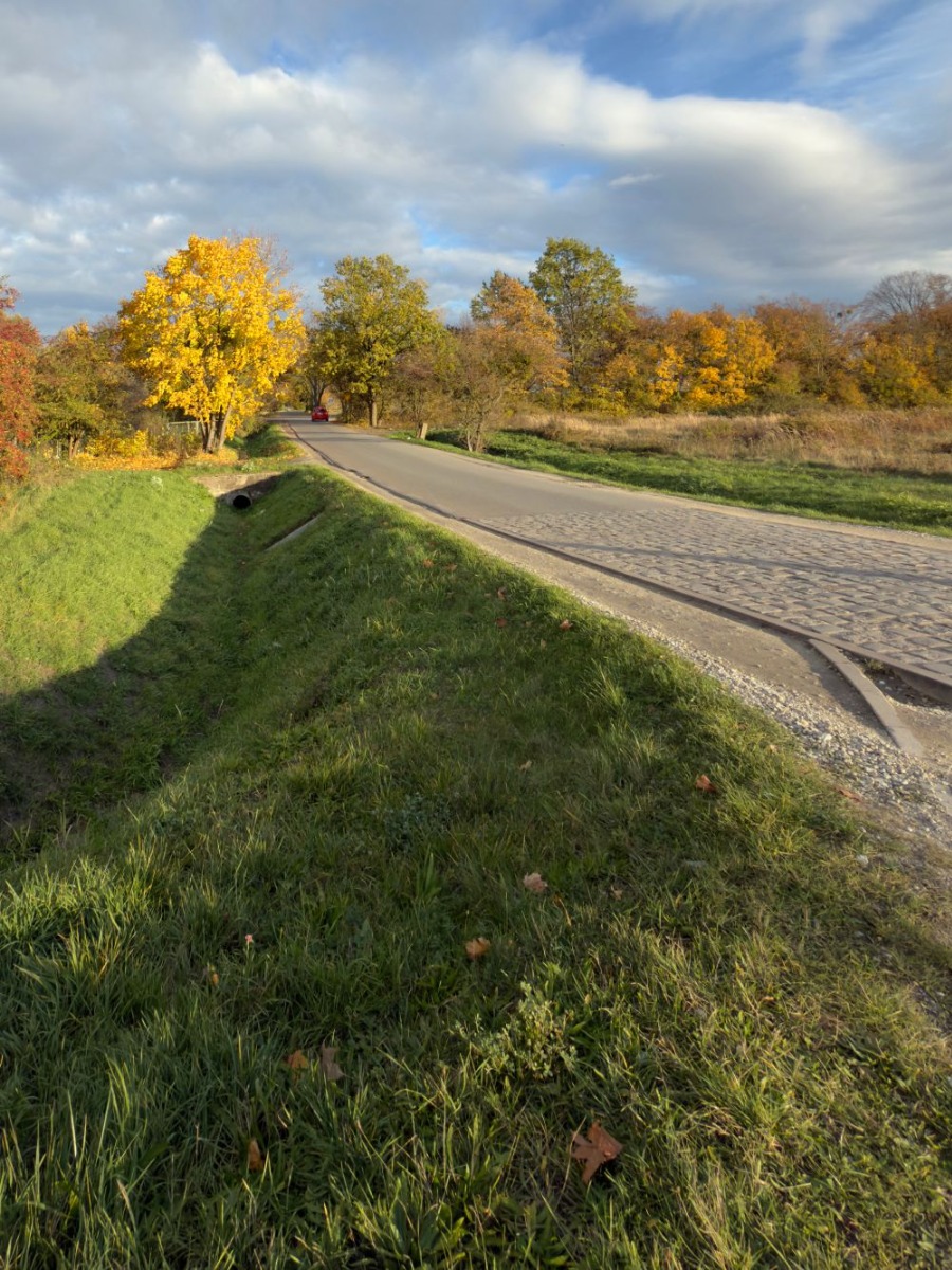 Zdjęcie zrobione iPhone 17 format ProRAW Zdjęcie zrobione iPhone 17 format ProRAW