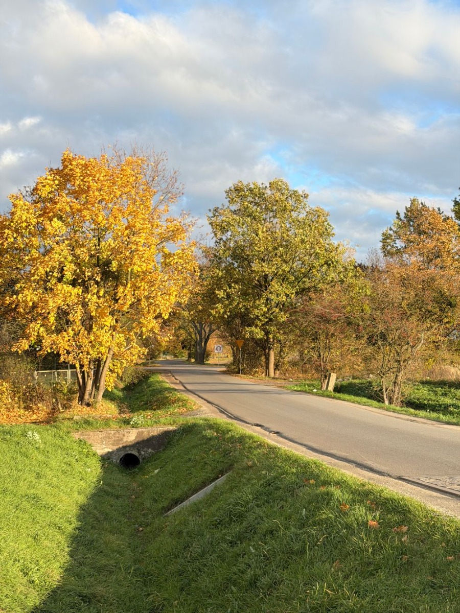 Zdjęcie zrobione iPhone 17 przy wykorzystaniu zoomu optycznego Zdjęcie zrobione iPhone 17 przy wykorzystaniu zoomu optycznego