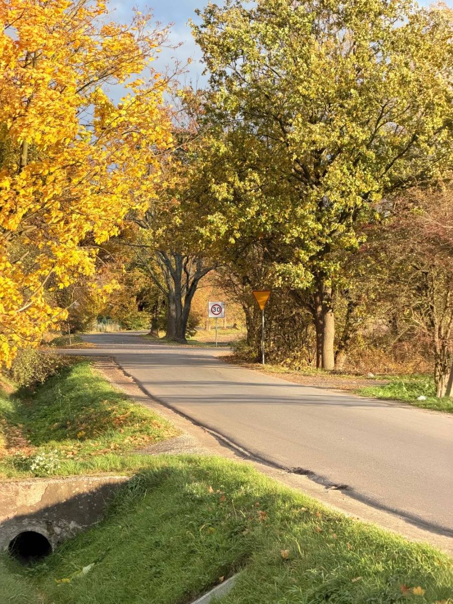 Zdjęcie zrobione iPhone 17 przy wykorzystaniu zoomu optycznego Zdjęcie zrobione iPhone 17 przy wykorzystaniu zoomu optycznego