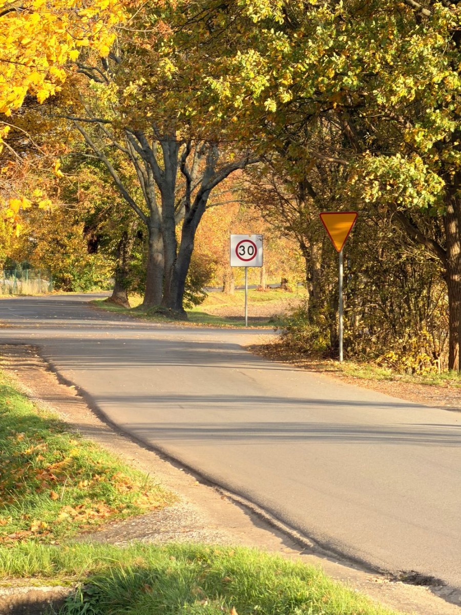 Zdjęcie zrobione iPhone 17 przy wykorzystaniu zoomu optycznego Zdjęcie zrobione iPhone 17 przy wykorzystaniu zoomu optycznego