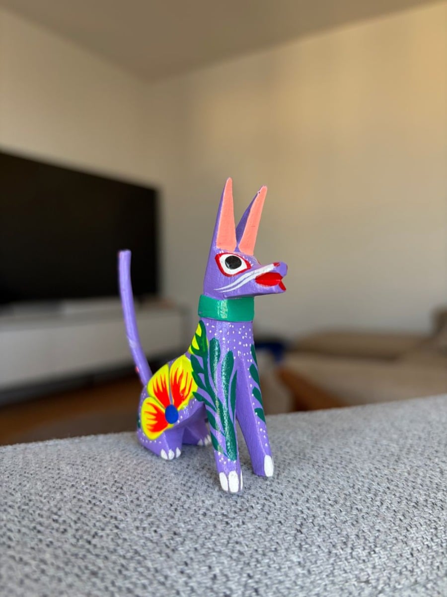 Zdjęcie zrobione iPhone Air bez Trybu makro Zdjęcie zrobione iPhone Air bez Trybu makro