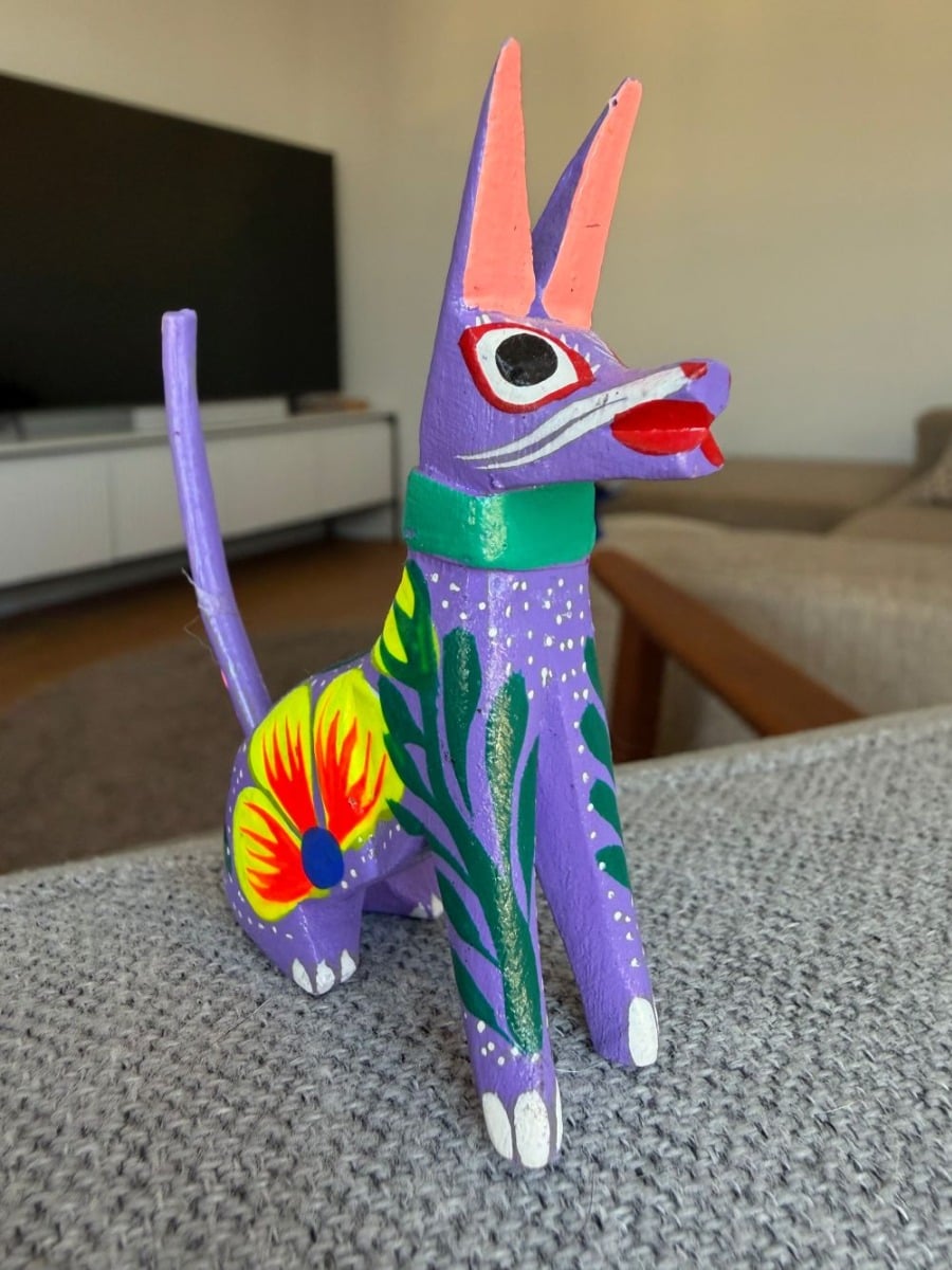 Zdjęcie zrobione iPhone 17 z Trybem makro Zdjęcie zrobione iPhone 17 z Trybem makro