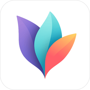 MindNode MindNode