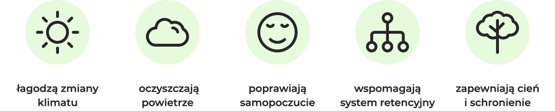 Nasze drzewa to nie tylko liczby