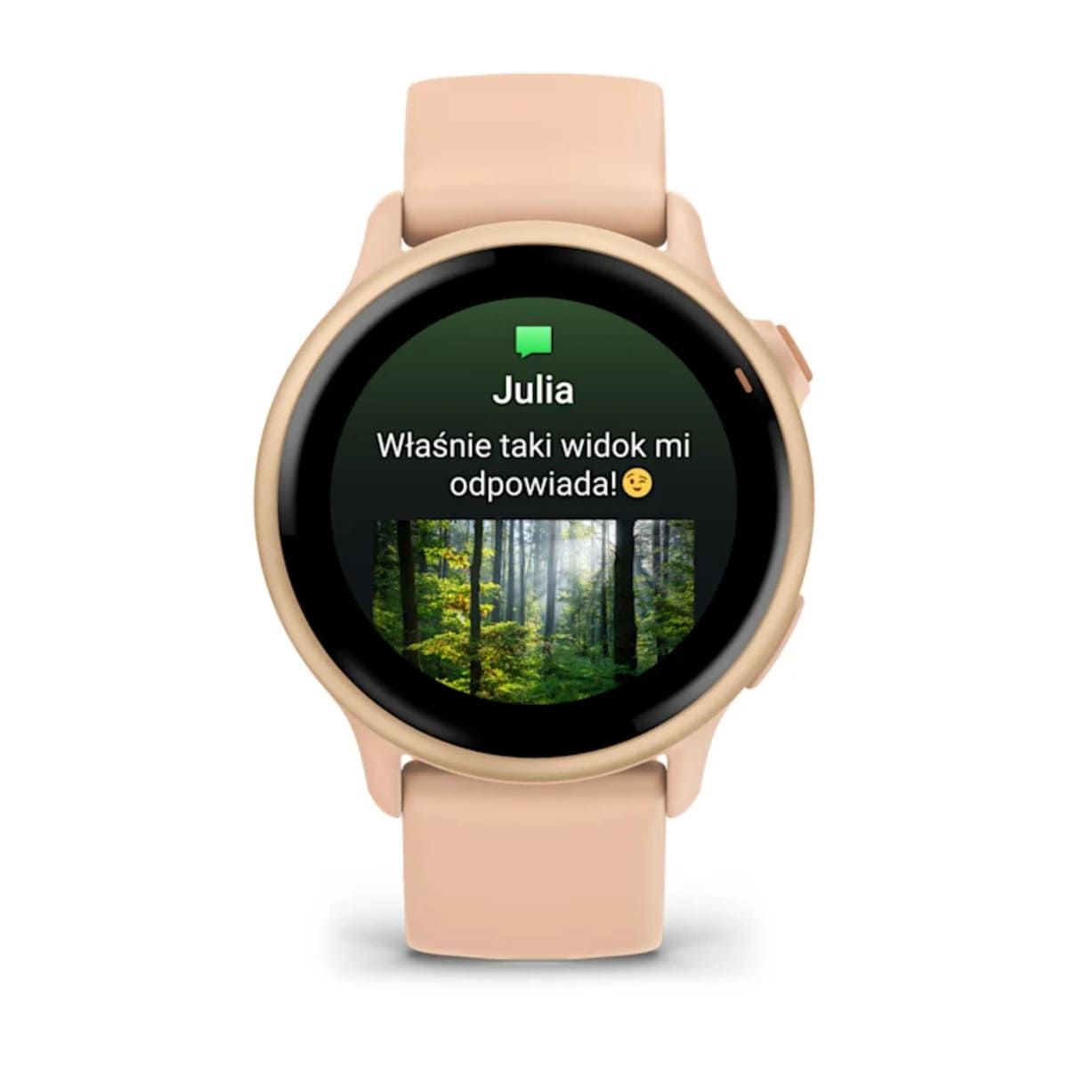 Garmin epix™ Pro (Gen 2) 51 mm Garmin epix™ Pro (Gen 2) 51 mm