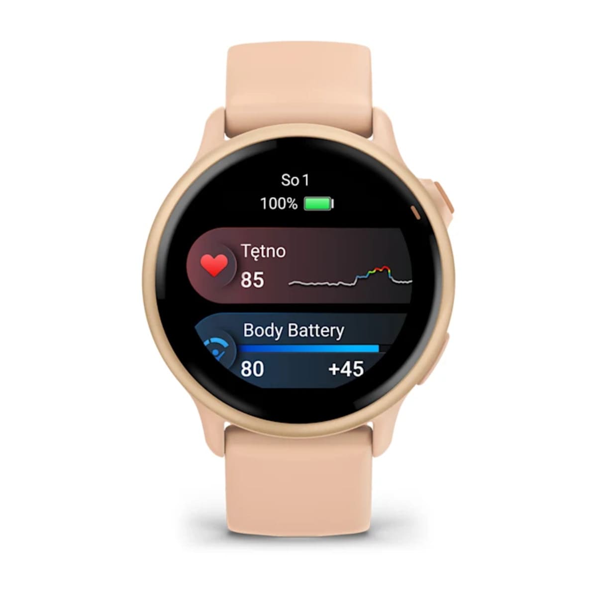 Garmin epix™ Pro (Gen 2) 51 mm Garmin epix™ Pro (Gen 2) 51 mm