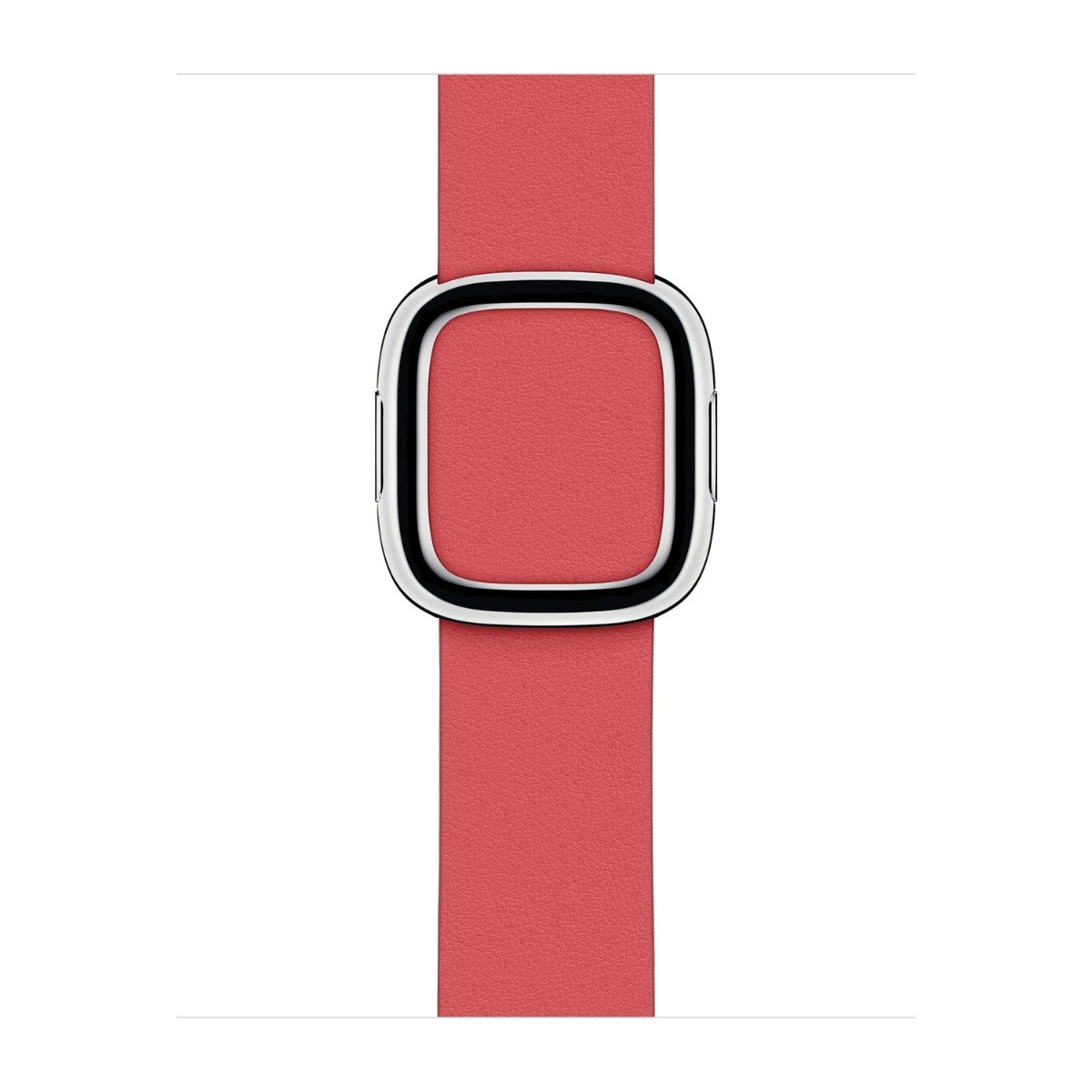 Pasek z klamrą nowoczesną do Apple Watch