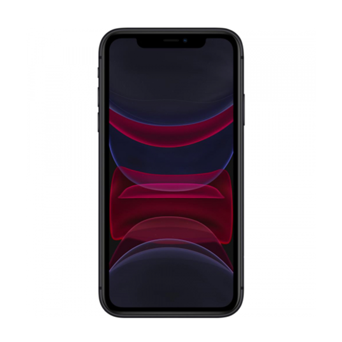 iPhone 11 iPhone 11
